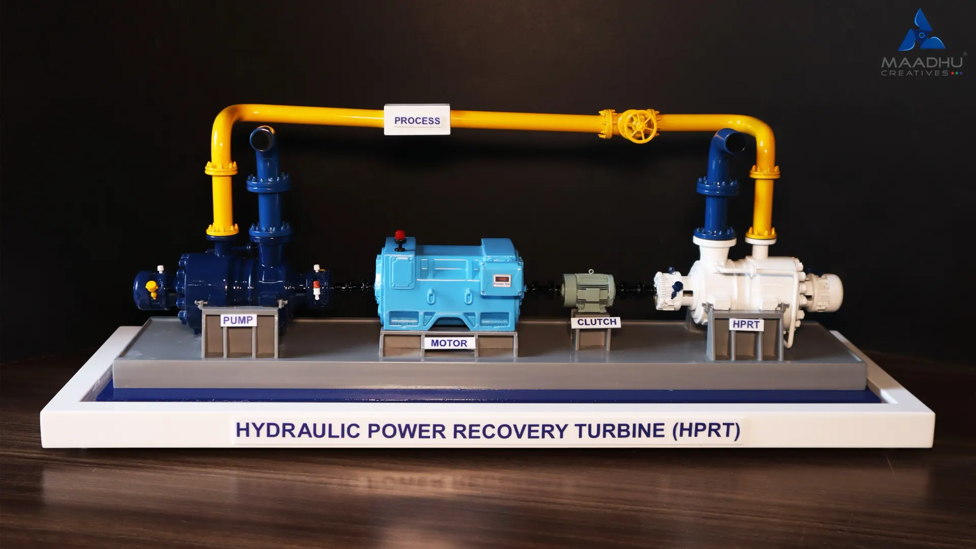 HPRT Model